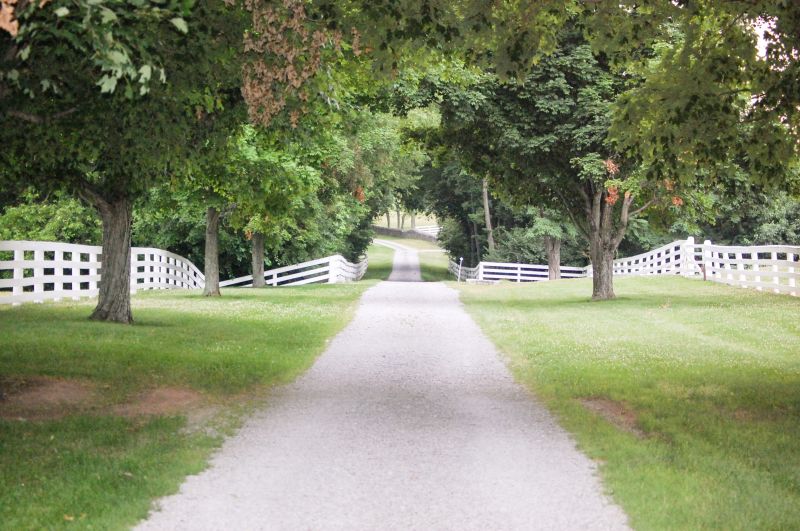 Dirt Installation detail